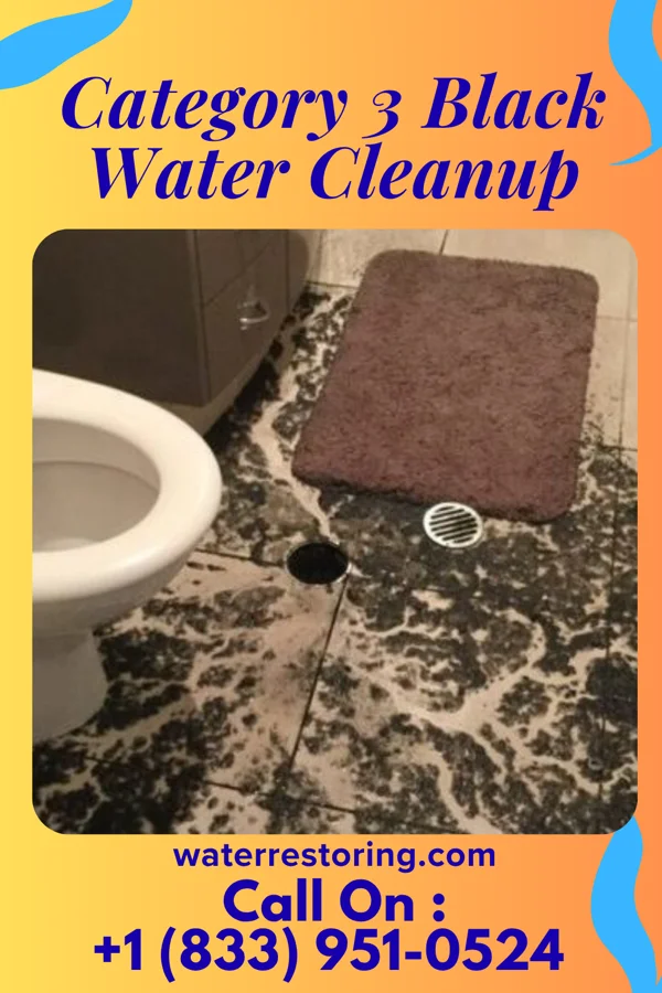 Category 3 Black Water Cleanup in Dover, NJ