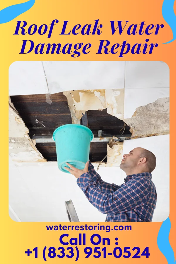 Roof Leak Water Damage Repair in Dover, NJ