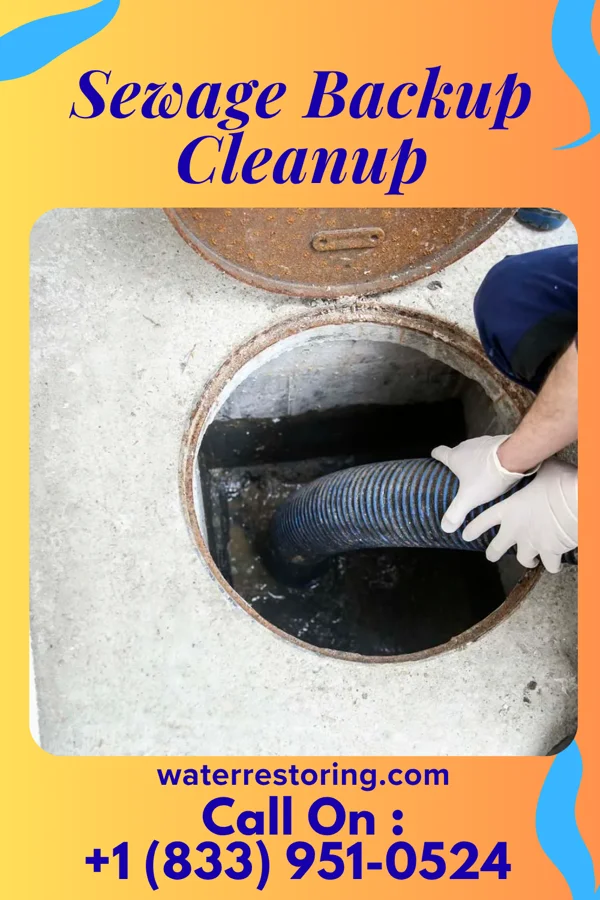 Sewage Backup Cleanup in Dover, NJ
