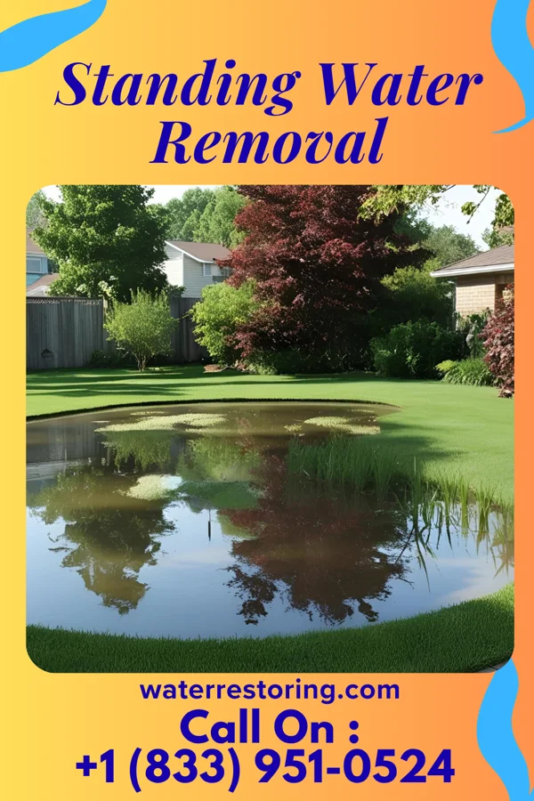 Standing Water Removal in Dover, NJ
